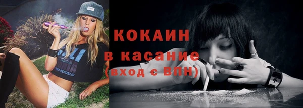 стаф Мегион
