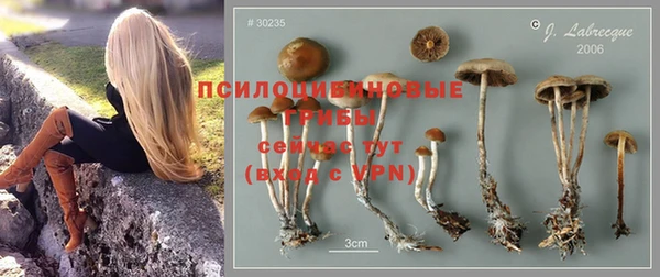 скорость Михайловск
